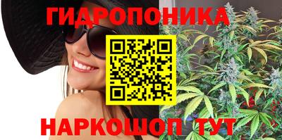 соль ск Будённовск